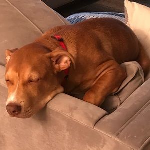 Meet your Posher, Maggie